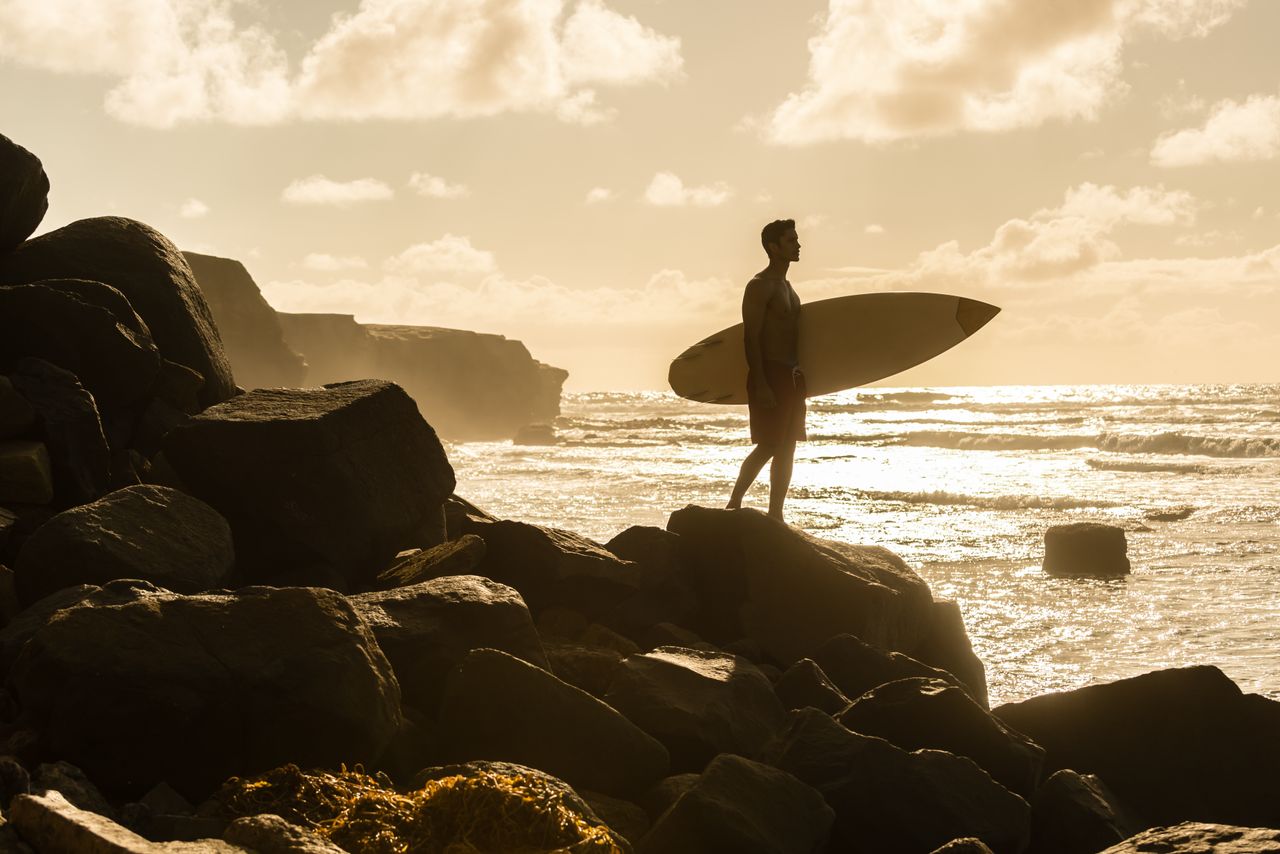 Surfer on the coast — free living